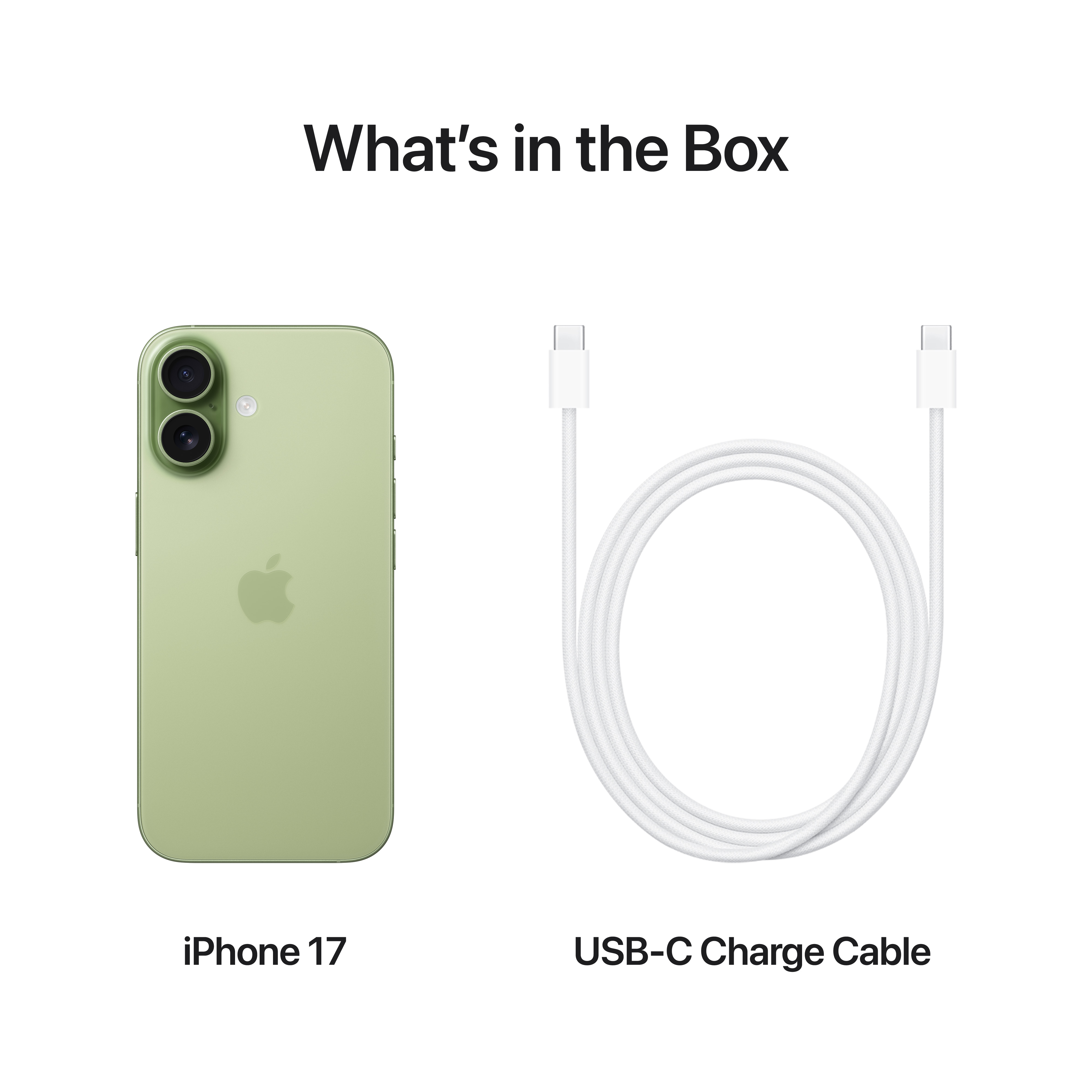 Apple iPhone 17, 256GB, Sage