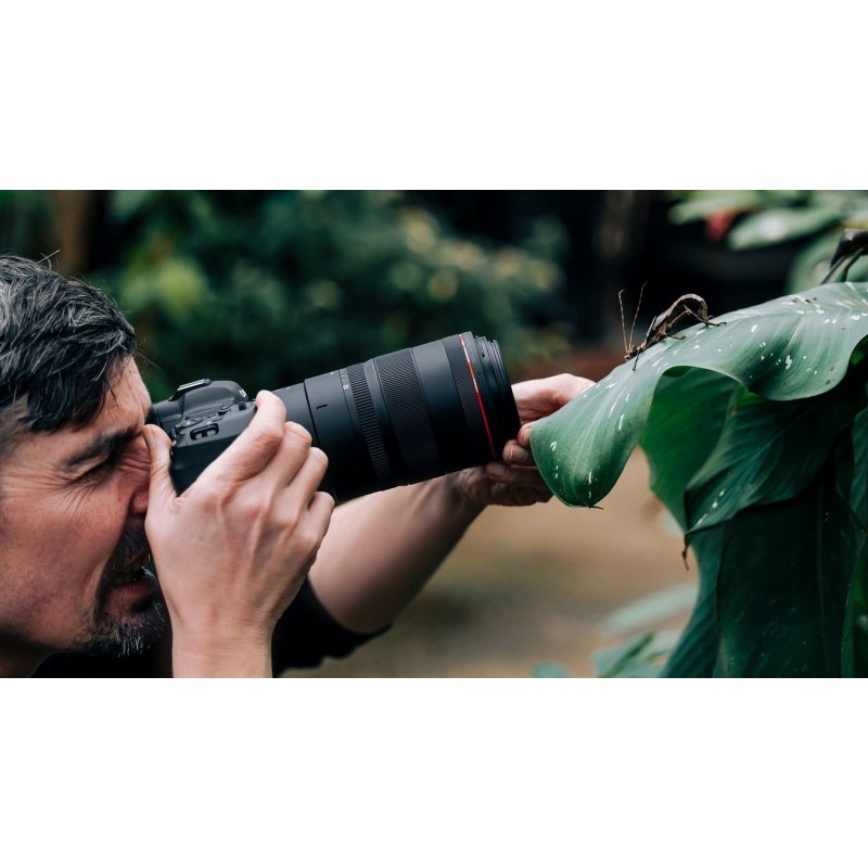 Canon RF 100mm f/2.8L Macro IS USM