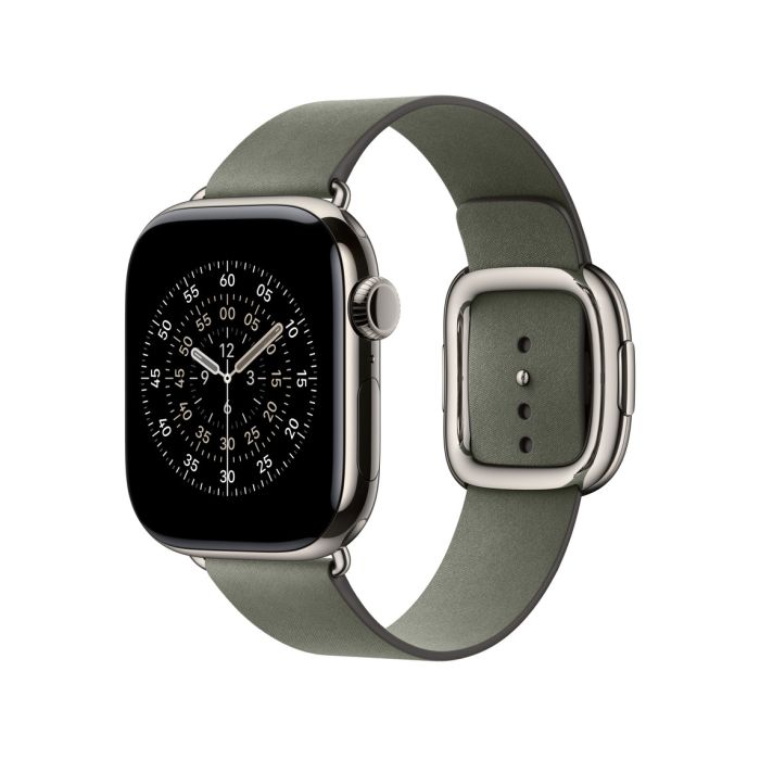 Apple Watch 42mm Modern Buckle, Sage Gray Modern Buckle, Large