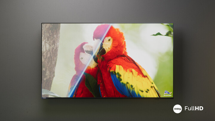 Televizor Philips 24PHS6808, 24" (60cm), HD, i zi