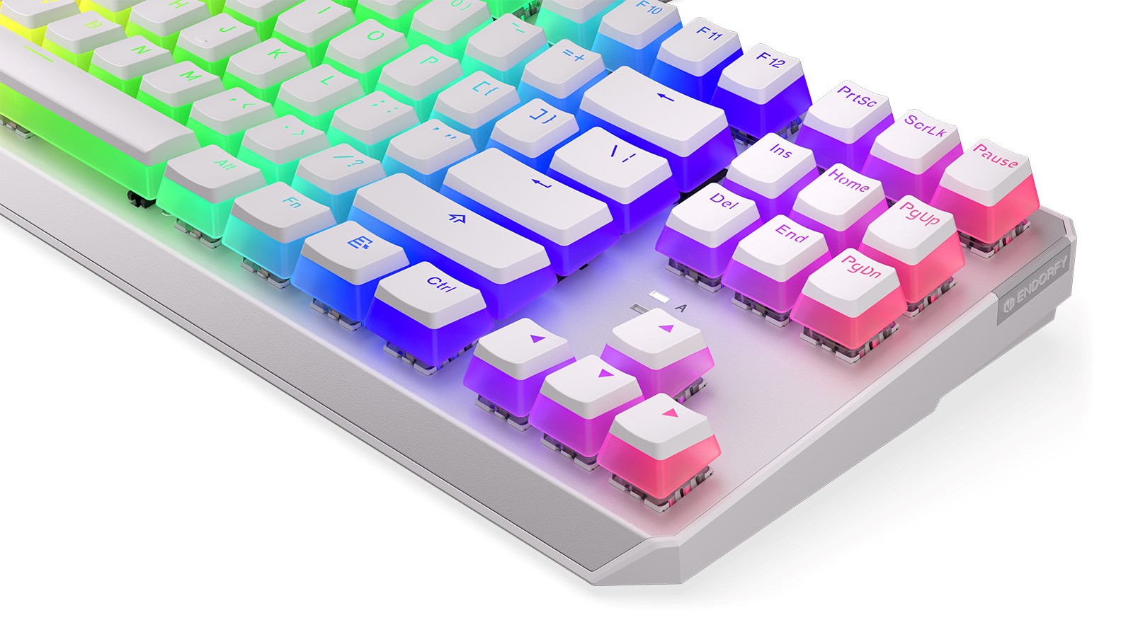 Tastierë mekanike Gaming Endorfy THOCK TKL OWH P, USB, Kailh Blue, RGB, e bardhë