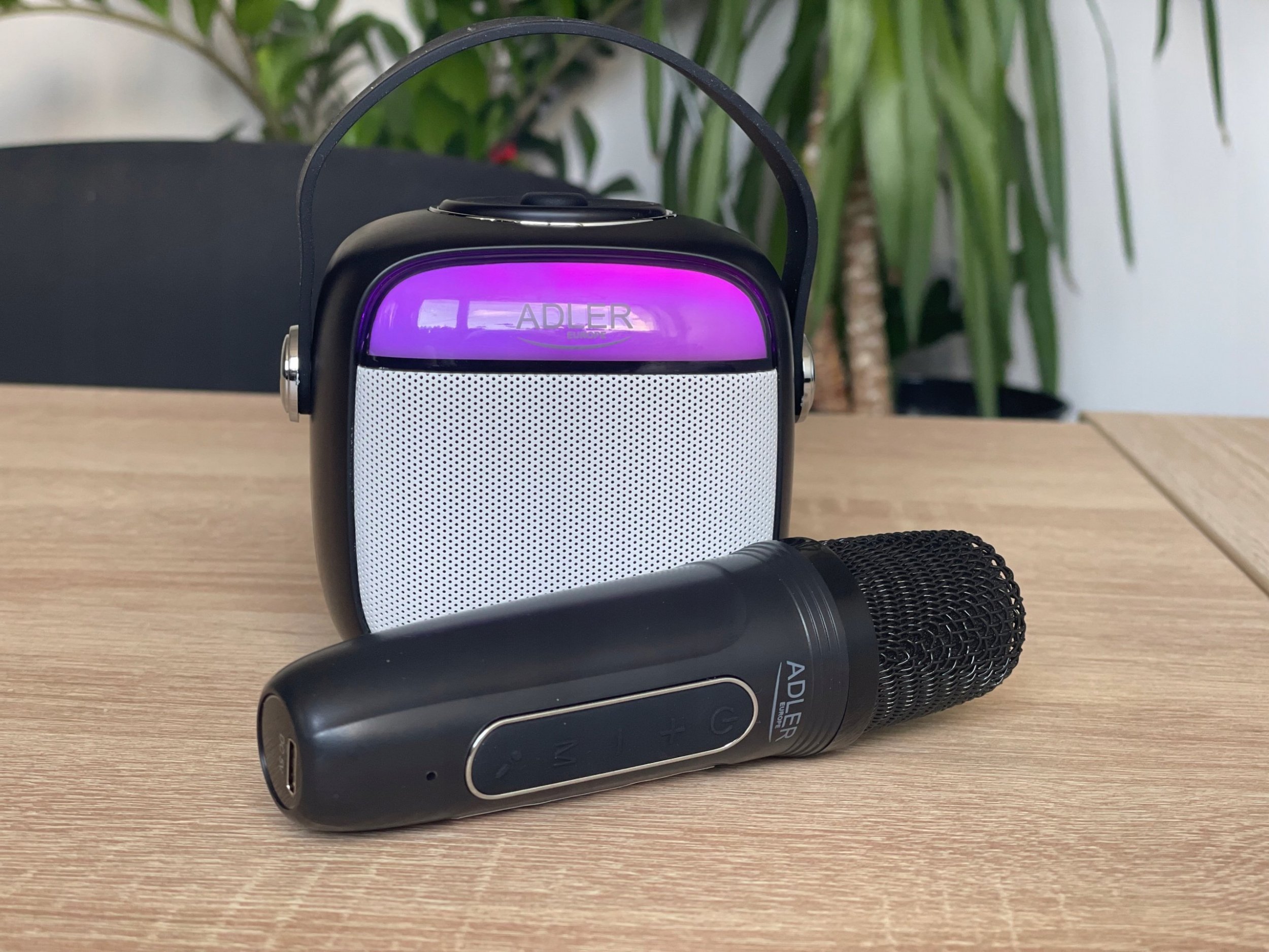 Kuti karaoke Adler AD 1199 me mikrofon, 8 orë bateri, Bluetooth 5.1, USB C, e zezë