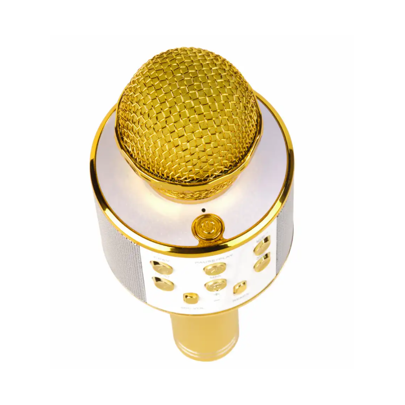 Denver Party Karaoke Mic (Gold)