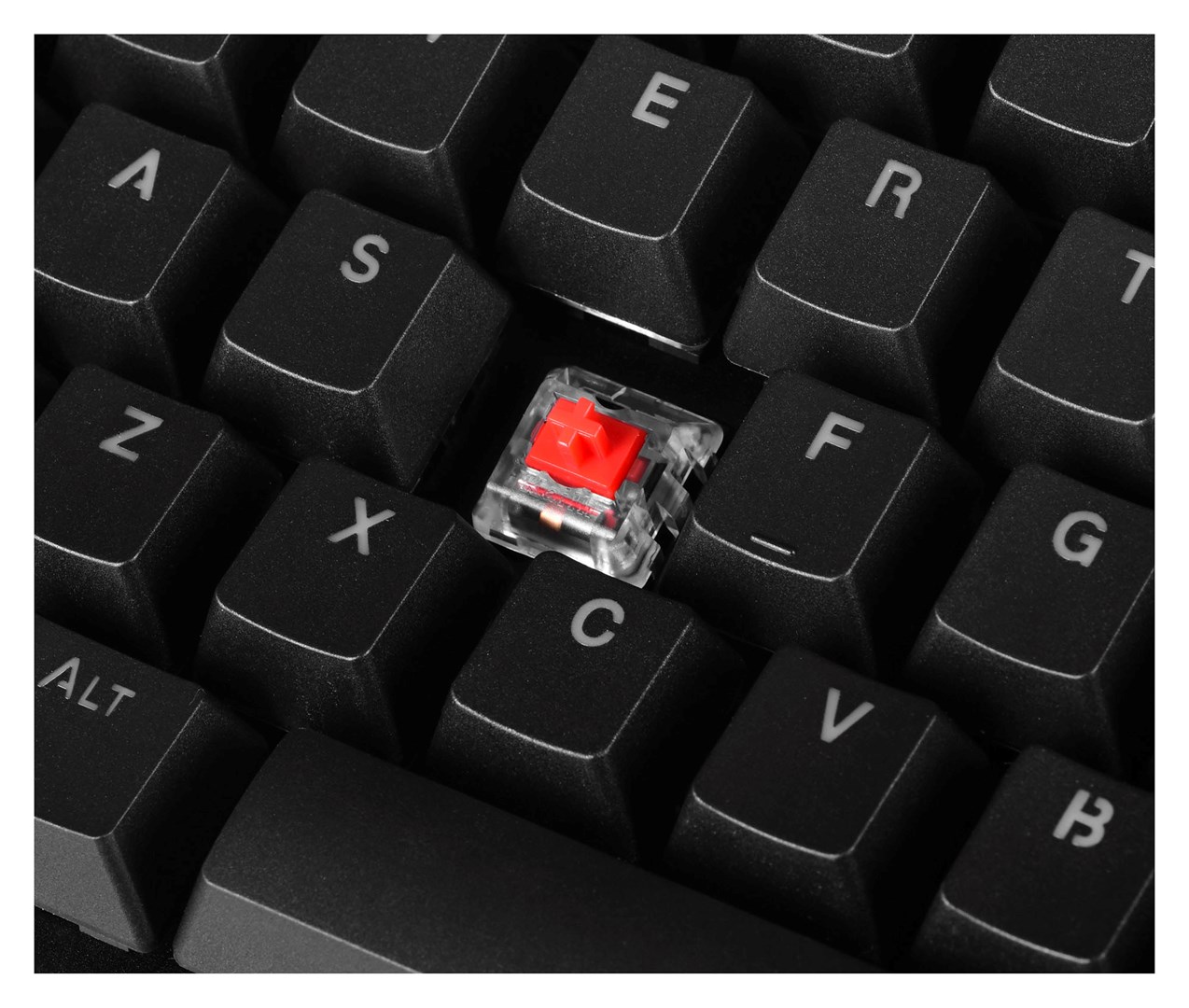 Tastierë mekanike Gaming Endorfy THOCK TKL, USB, Kailh Red, RGB