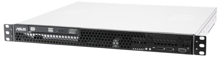 Server ASUS RS100-E9-PI2/DVR