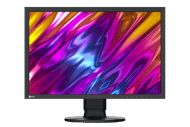 Monitor EIZO CS2400S, 24,1", IPS, FHD+, i zi