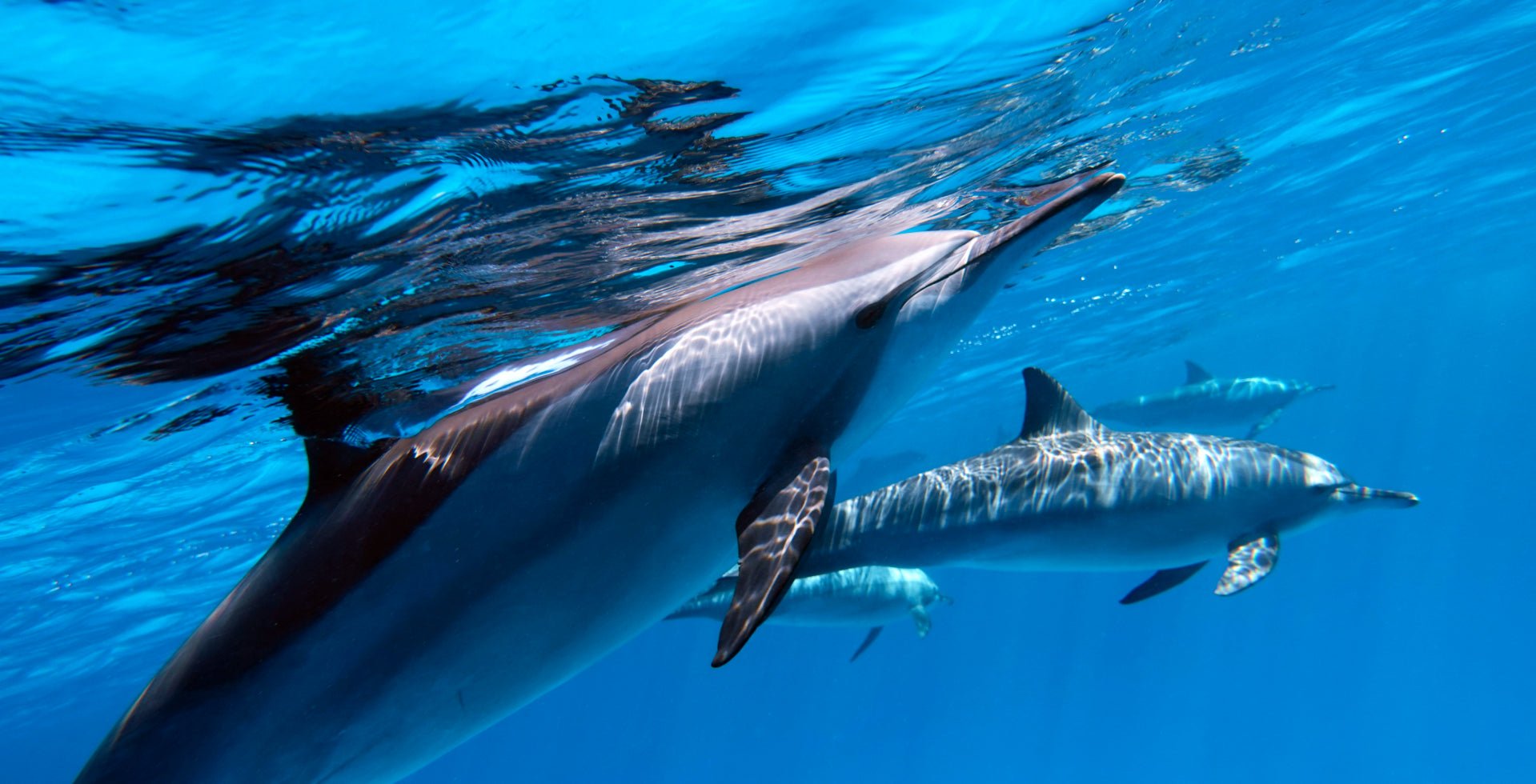 Projektor Yaber K3 Pro, Full HD 1080p, 1600 ANSI lumens, i bardhë