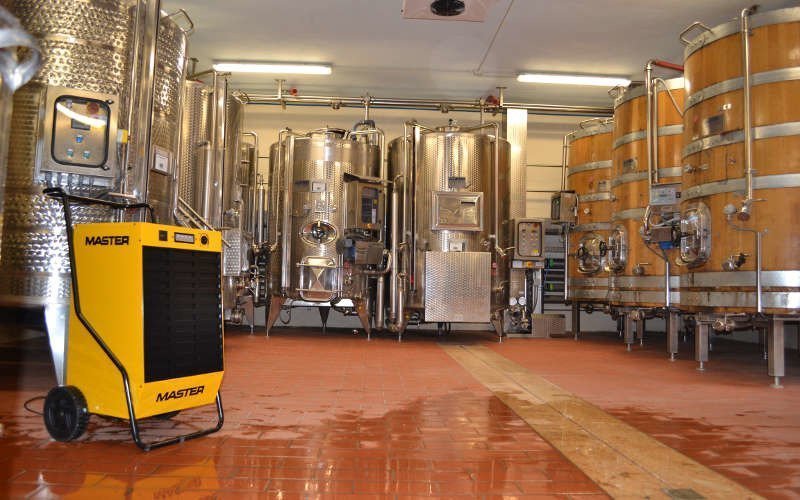 Avullues lagështie Master DH 44, 41L në ditë, profesional, i verdhë