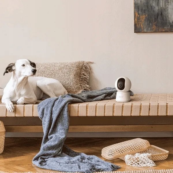 Kamerë sigurie Arenti P2Q, IP Wi-Fi 5G, 4MP 2.5K, e bardhë