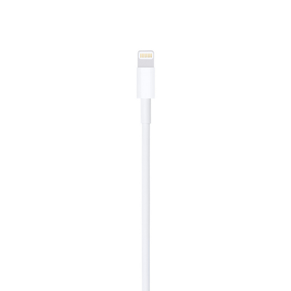 Apple Lightning to USB Cable (0.5 m)