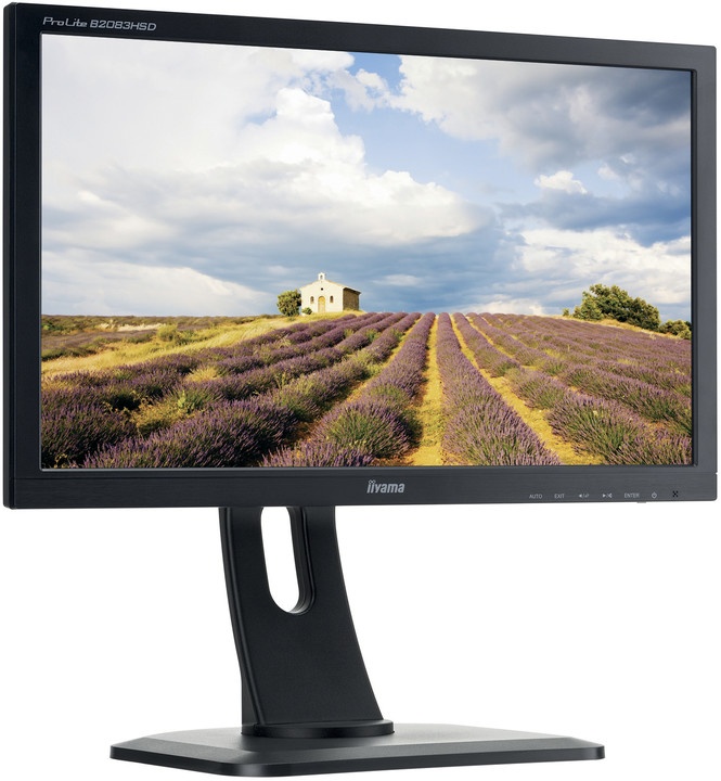 Monitor LED iiyama B2083HSD-B1 20"