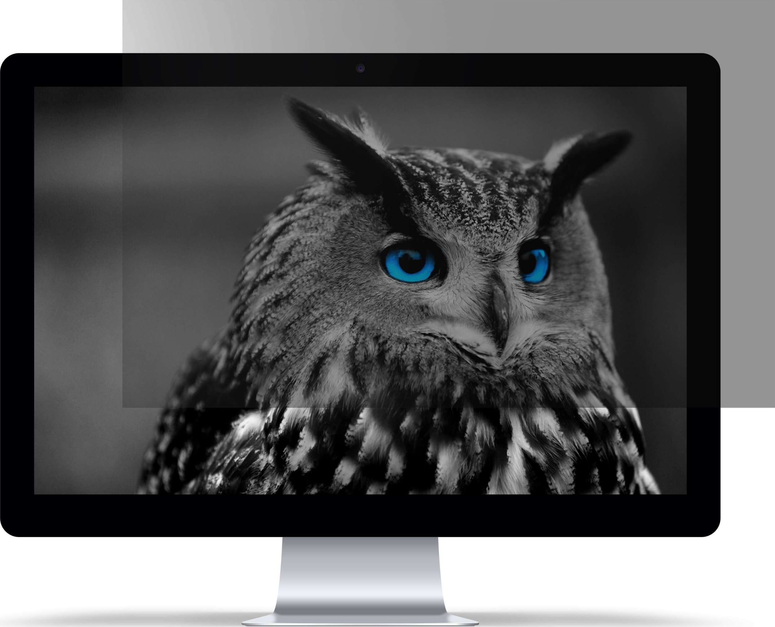 Filtër privatësie Natec OWL, 17.3", për laptop, transparent