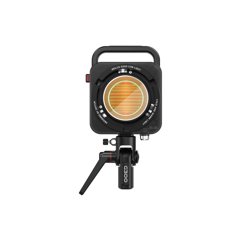 Zhiyun MOLUS G300 Bi-Color LED Monolight
