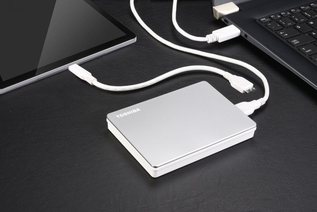 Disk i jashtëm HDD Toshiba Canvio Flex (HDTX140ESCCA), 4TB, i argjendtë