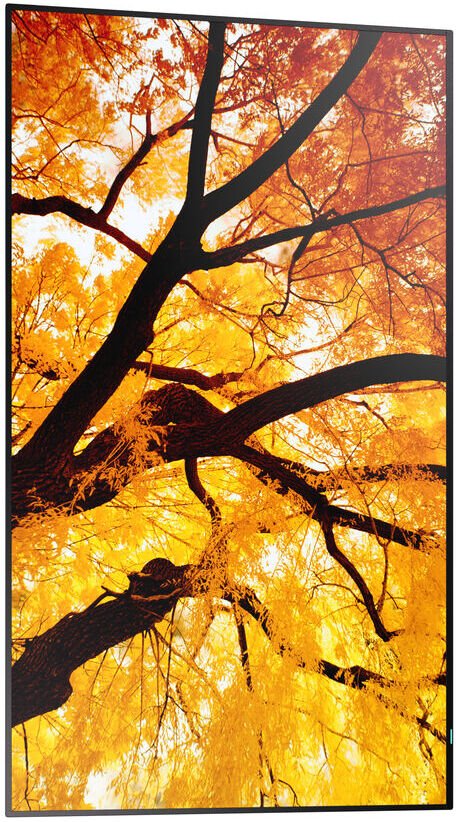 Професионален монитор Sharp MultiSync M432, 43\", 4K Ultra HD, црн