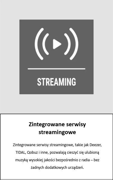 Интернет радио Telestar TOP 300 Wood, DAB+, CD, Bluetooth, сино