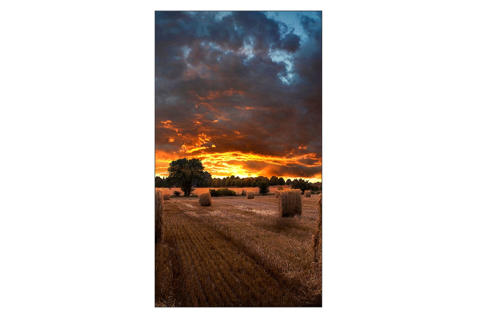 Ekran Samsung VM55B-U, 55", Full HD, LED, i zi