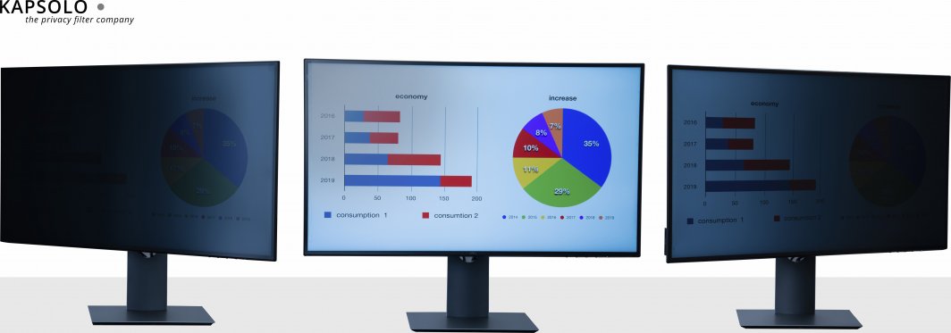 Филтер за приватност за монитор KAPSOLO 2 Way, 20.1\", 16:10, проѕирен