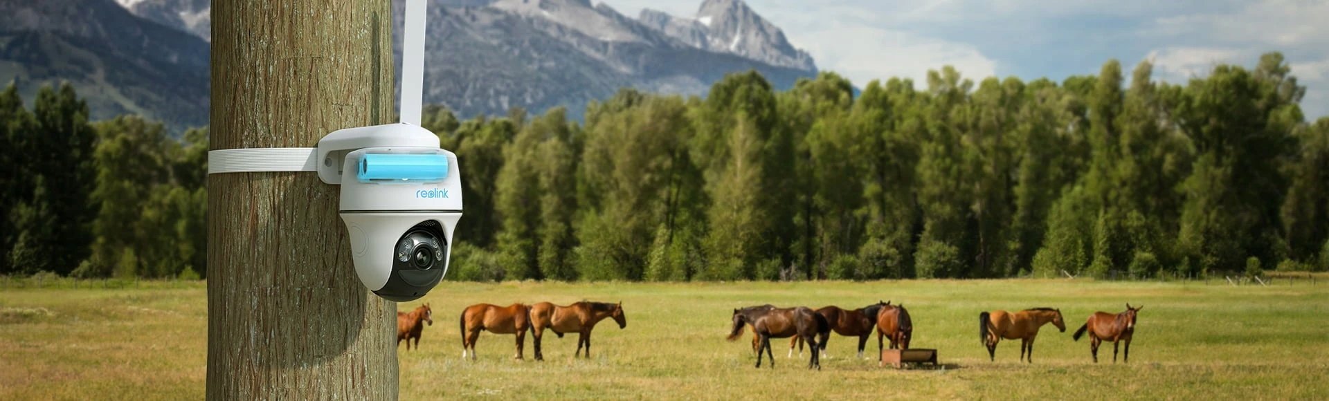 Kamerë IP Reolink Go G440, 4K, 4G LTE, e bardhë