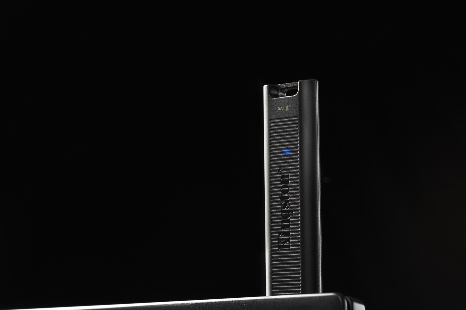 USB Kingston DataTraveler Max, 1TB, i zi