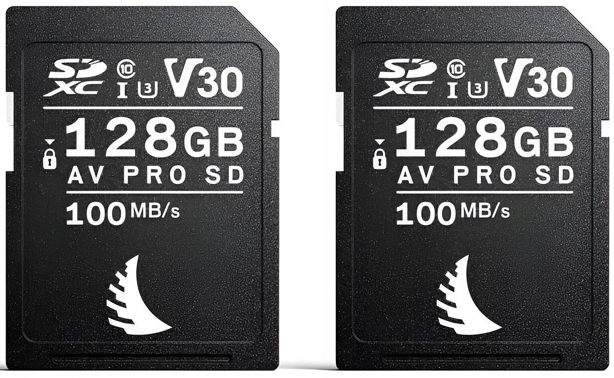 Karta memorije Angelbird Match Pack Canon SD V30, 2x128GB