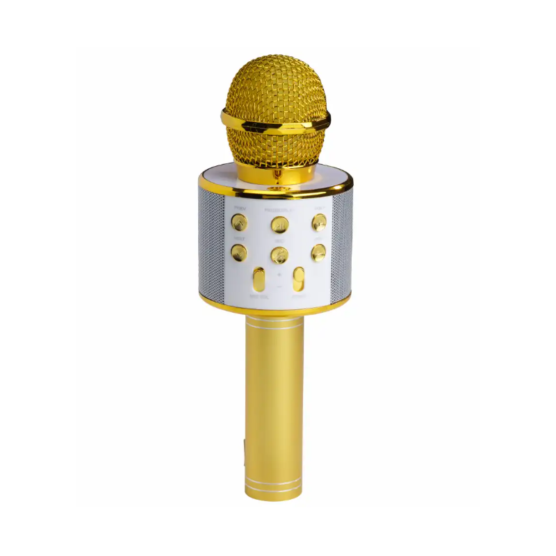 Denver Party Karaoke Mic (Gold)