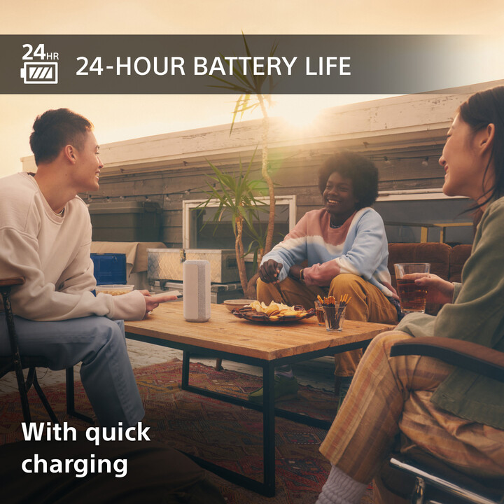 Altoparlant Sony SRSXE300, gri