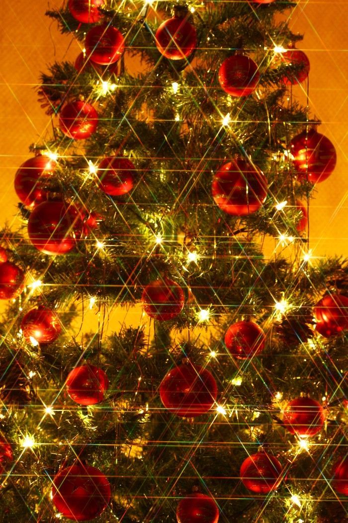 Фотографски филтер Seagull Mass Rainbow Star x6 58mm, ѕвезден ефект, повеќебоен