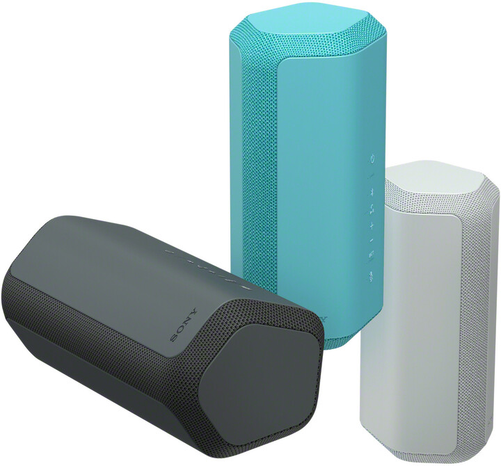 Altoparlant Sony SRSXE300, gri