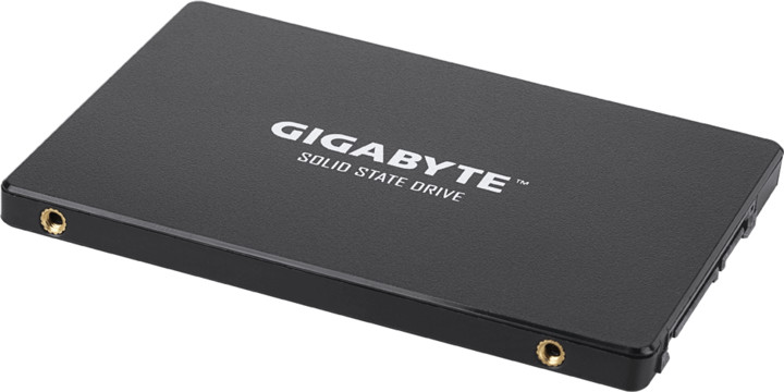 Disk SSD GIGABYTE - 256GB