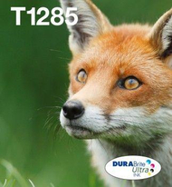 Ngjyrë printeri Epson Ink T1285, 4 pako 16.4 ml, CMYK, shumëngjyrëshe