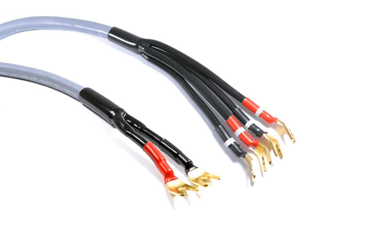 Kabllo Melodika Fork - Fork, 2.5m, vjollcë