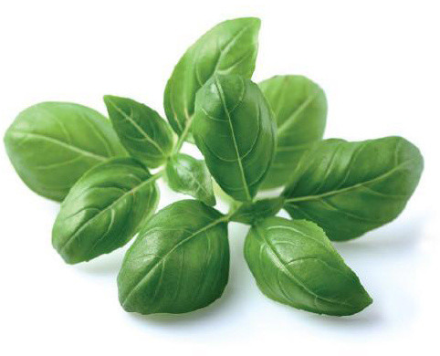 Farë të borzilokut për kopshtin SMART Click and Grow Farë të borzilokut për kopshtin SMART Click and Grow