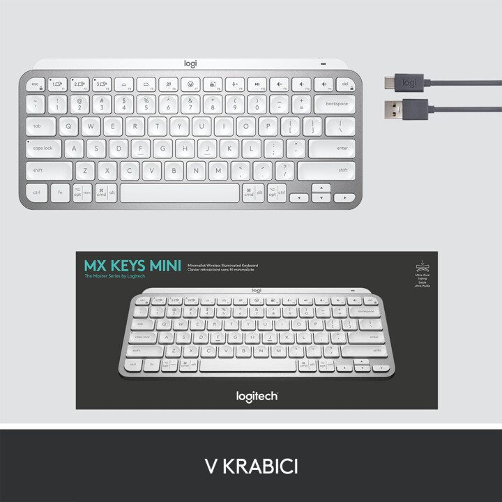 Tastierë Logitech MX Keys Mini, US / INT, e hirtë