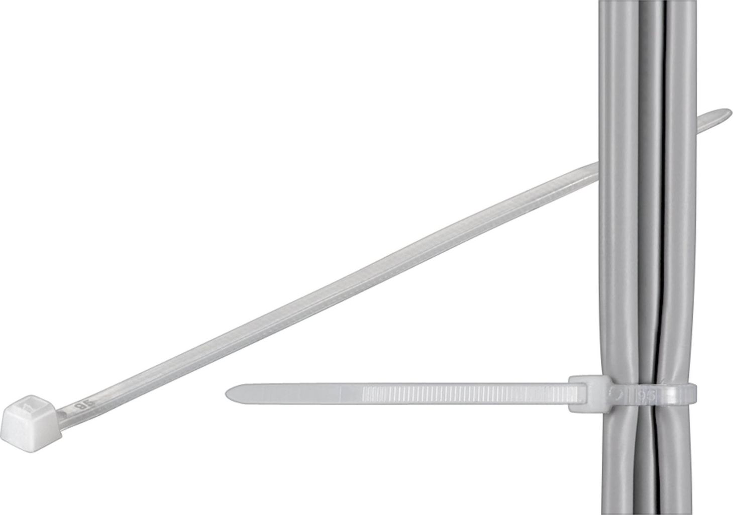 Kapëse kabllosh Wentronic Cable Tie Standard, 200mm, 2.5mm, transparente