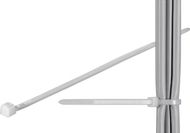 Kapëse kabllosh Wentronic Cable Tie Standard, 200mm, 2.5mm, transparente
