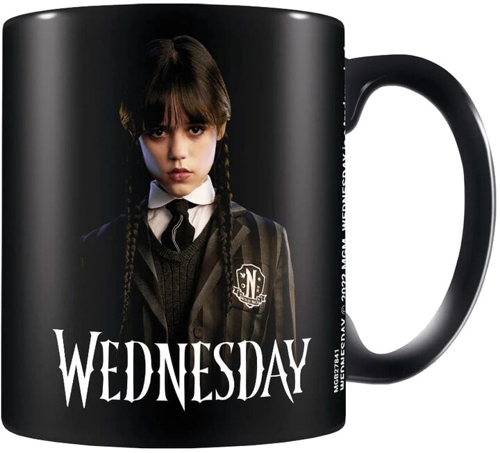 Filxhan Wednesday - Friendship, 315 ml