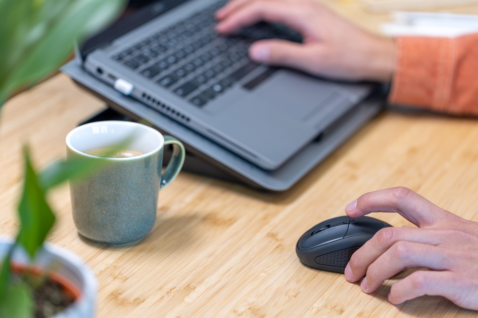 Maus Trust Primo, RF Wireless, i kaltër