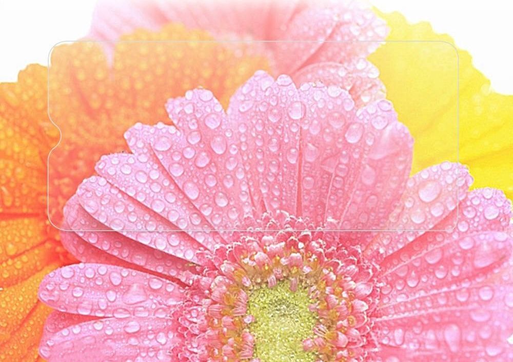 Xham mbrojtës PremiumGlass për Xiaomi Redmi 9T, transparent