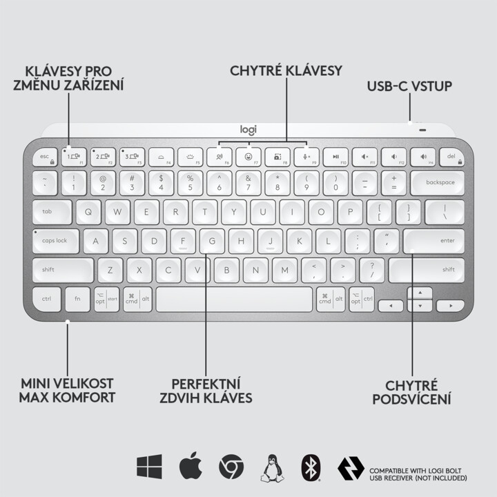 Tastierë Logitech MX Keys Mini, US / INT, e hirtë
