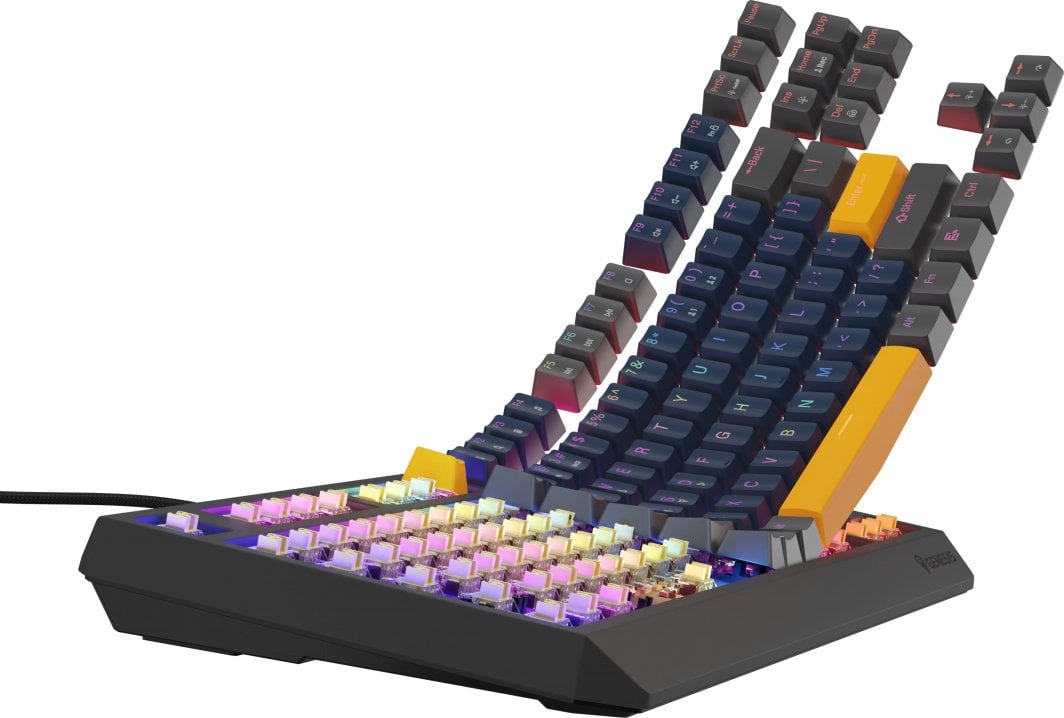 Механичка тастатура Genesis Thor 230 TKL, Outemu Panda, RGB, црна