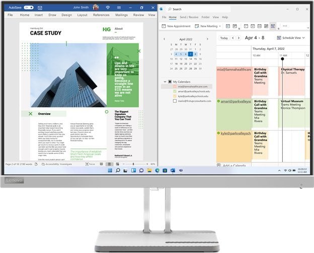 Monitor Lenovo L25e-40, 24.5", 1920 x 1080 (FullHD), i argjendtë