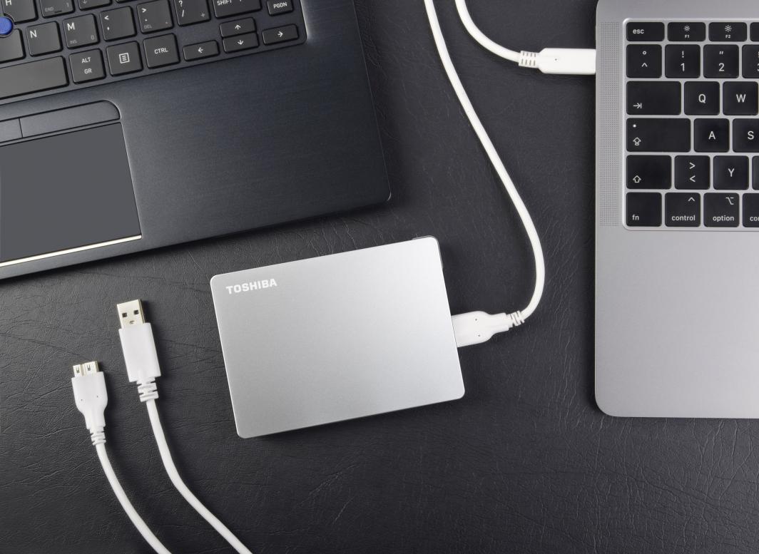 Disk i jashtëm HDD Toshiba Canvio Flex 2TB, i hirtë