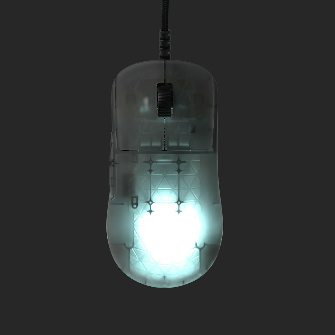 Maus Endgame Gear OP1 RGB, USB, 26000 DPI, i zi