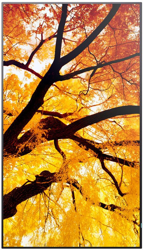 Професионален монитор Sharp MultiSync M432, 43\", 4K Ultra HD, црн