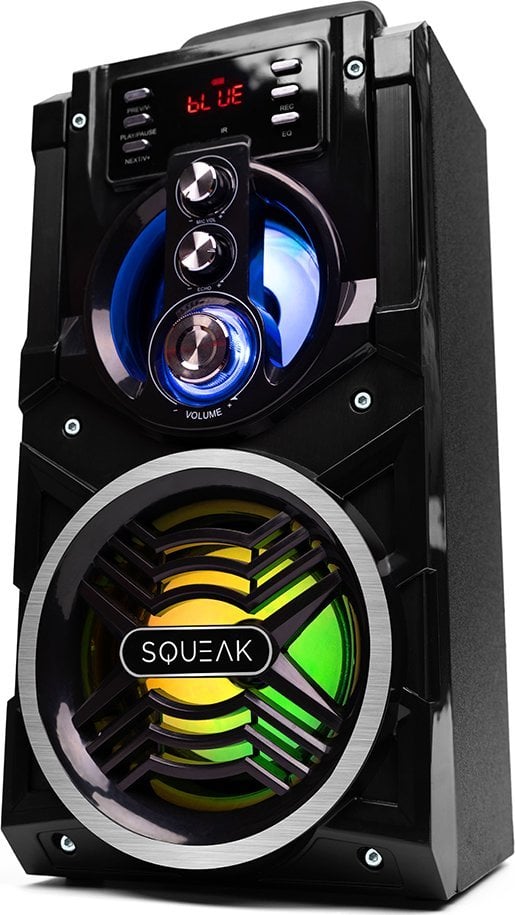 Kaltoparlant Bluetooth Squeak BeatBoxer SQ1000, karaoke, radio FM, i zi