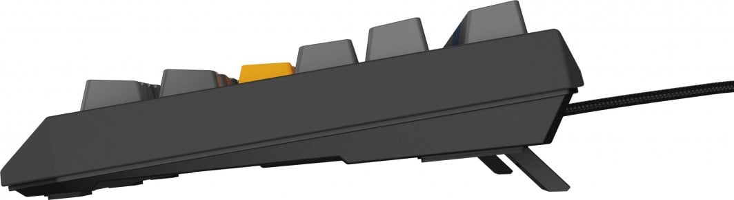 Механичка тастатура Genesis Thor 230 TKL, Outemu Panda, RGB, црна