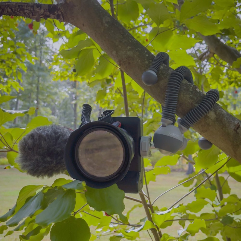 JOBY Tripod Podzilla Large Kit