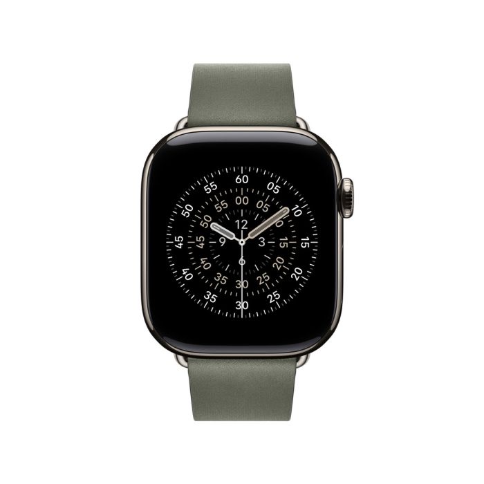 Apple Watch 42mm Modern Buckle, Sage Gray Modern Buckle, Medium