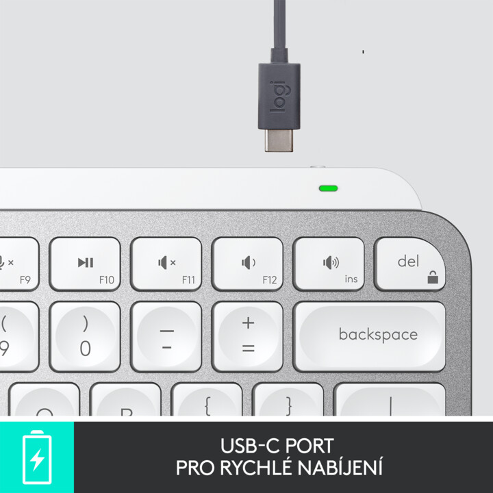 Tastierë Logitech MX Keys Mini, US / INT, e hirtë